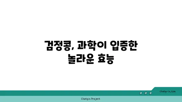 검정콩의 과학적 수수께끼| 영양과 건강의 복잡한 관계를 풀어내다 | 검정콩 효능, 건강 효과, 영양 분석, 연구 결과