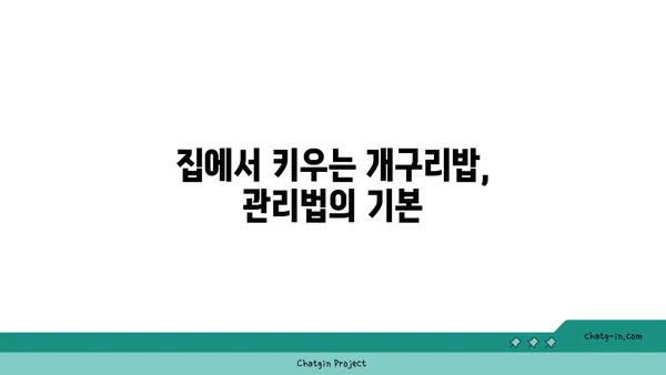 개구리밥, 제대로 알아보기| 서식지, 종류, 관리법 | 수생식물, 연못, 정화