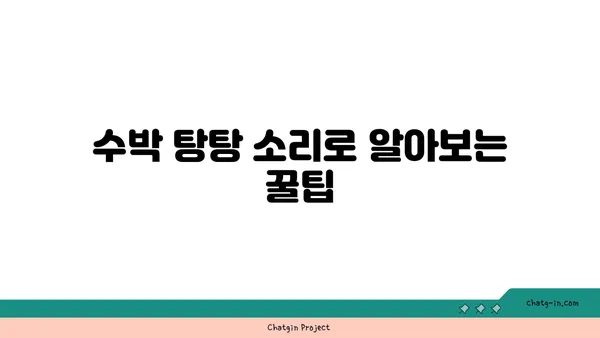 맛있는 수박 고르는 꿀팁 | 수박 고르는 방법, 달콤한 수박 찾는 비결