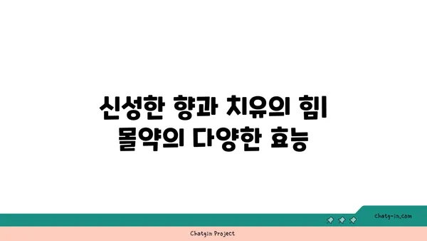 몰약의 모든 것| 기원, 효능, 사용법, 그리고 문화적 의미 | 몰약, 향신료, 약초, 문화, 역사