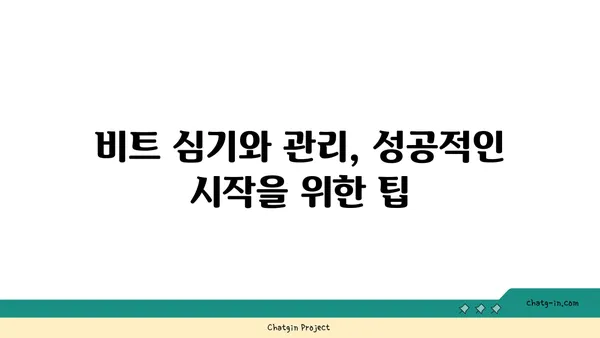 비트 재배, 성공적인 시작을 위한 완벽 가이드 | 비트, 재배, 팁, 방법, 관리