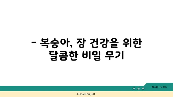 복숭아의 섬유질 파워| 장 건강과 포만감을 위한 달콤한 선택 | 복숭아 효능, 섬유질, 건강 식단