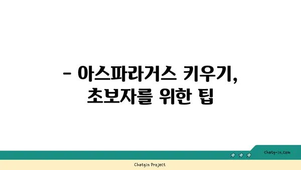 아스파라거스속 식물의 종류와 특징 | 아스파라거스, 식물 분류, 재배 팁