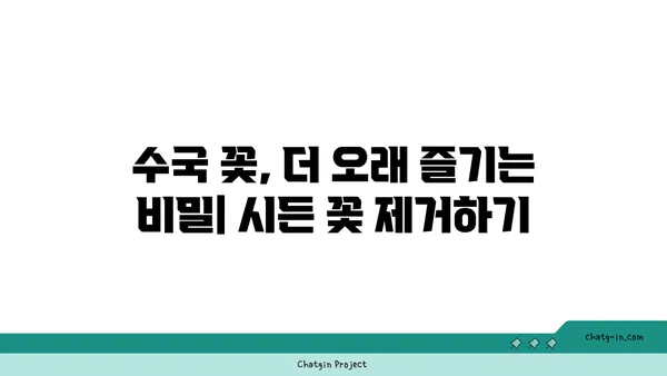 수국 개화 기간 연장하기| 가을까지 아름다움 유지하는 팁 | 수국, 개화, 가을, 관리, 팁