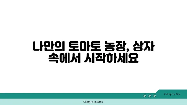 좁은 공간에서도 풍성한 수확! 상자 속 토마토 재배| 혁신적인 방법 | 베란다텃밭, 공간활용, 토마토 키우기