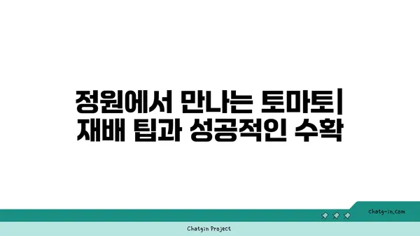 토마토의 놀라운 변신| 고대 과일에서 현대적 정원 필수품까지 | 토마토 역사, 토마토 재배, 토마토 종류