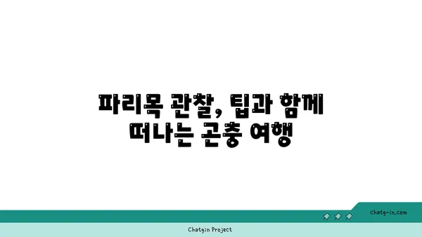 파리목 매력에 빠지다| 종류별 특징과 관찰 가이드 | 파리목, 곤충, 생태, 관찰 팁