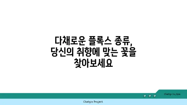 플록스 꽃의 매력에 빠지다| 종류별 특징과 관리법 | 정원, 꽃, 식물, 원예, 가드닝