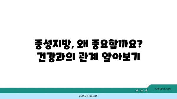 중성지방, 걱정 끝! 쉽고 빠르게 이해하는 모든 것 | 건강, 지방, 혈액 검사, 관리 팁, 식단