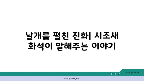 시조새| 진화의 증거를 찾다 | 공룡, 조류, 화석, 진화론, 고생물학