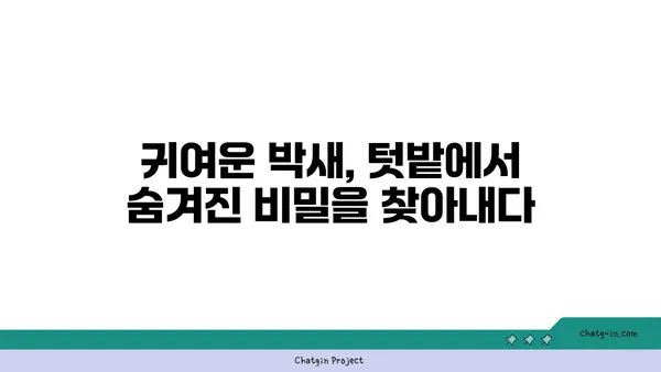 박새의 비밀| 텃밭에 찾아온 귀여운 친구 | 박새, 새, 관찰, 텃밭, 조류