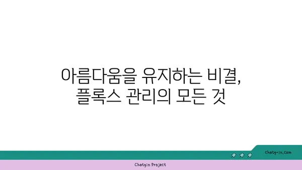 플록스 꽃의 매력에 빠지다| 종류별 특징과 관리법 | 정원, 꽃, 식물, 원예, 가드닝