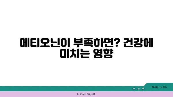 메티오닌의 중요성| 필수 아미노산의 역할과 건강 효과 | 아미노산, 건강, 영양, 식품