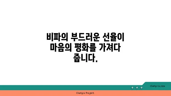 비파의 정신적 치유| 명상과 치유를 위한 악기의 힘 | 비파, 명상, 치유, 정신 건강, 악기, 음악