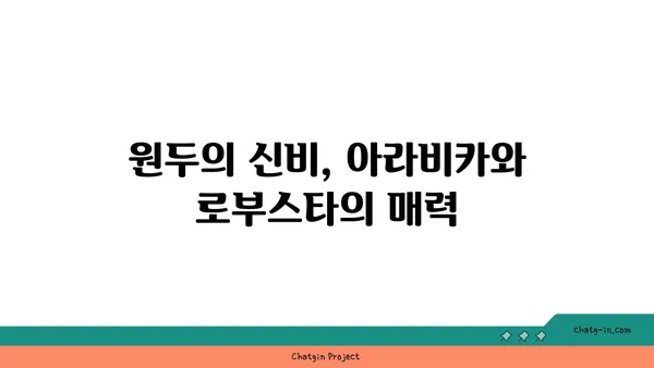 세계인이 사랑한 커피, 그 매혹적인 이야기| 원두부터 문화까지 | 커피 역사, 커피 종류, 커피 문화, 커피 추출