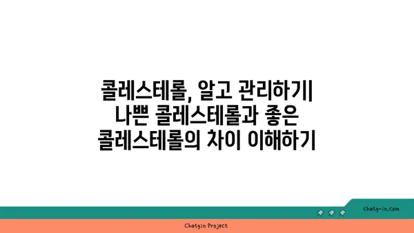 심장 건강 지키는 콜레스테롤 낮추기 3가지 필수 조치 | 건강 관리, 심혈관 질환 예방, 식단 관리