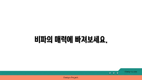 비파 감상 가이드| 걸작 이해를 위한 5가지 단계 | 비파, 감상, 음악, 클래식, 가이드