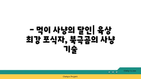 큰곰의 생태와 행동| 지구상 가장 큰 육상 포식자 | 북극곰, 곰, 야생동물, 생존