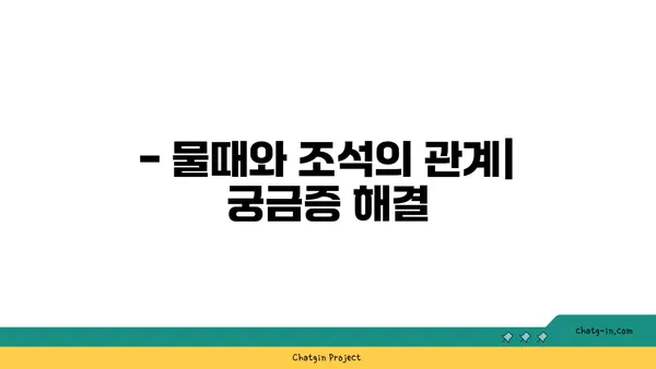 물때표 보는 방법| 초보자를 위한 완벽 가이드 | 물때, 조석, 낚시, 해수욕, 갯벌 체험