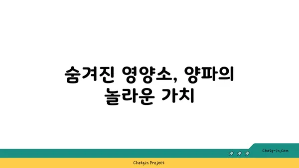 양파의 놀라운 효능| 특성, 영양학적 가치, 그리고 건강에 미치는 영향 | 건강, 식단, 채소, 효능