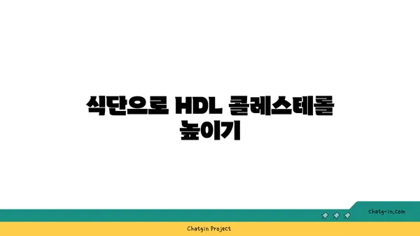 고밀도 지단백질(HDL)| 좋은 콜레스테롤, 건강하게 높이는 방법 | 콜레스테롤 관리, 심혈관 건강, 건강 정보