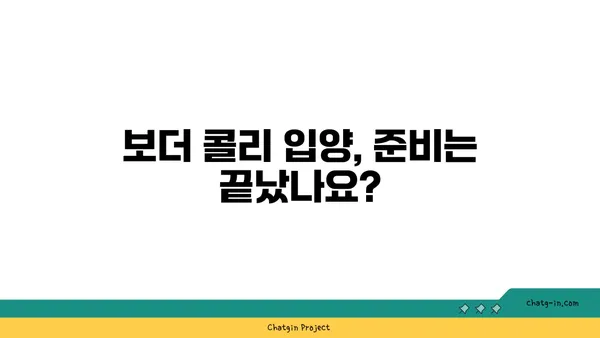 보더 콜리 완벽 가이드| 성격, 훈련, 건강, 그리고 당신에게 맞는지 확인하세요 | 견종, 개, 애견, 반려견, 훈련, 건강, 입양