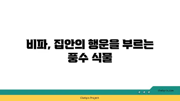 비파와 풍수| 집의 에너지 조화를 위한 완벽 가이드 | 비파, 풍수, 집, 에너지, 인테리어, 조화