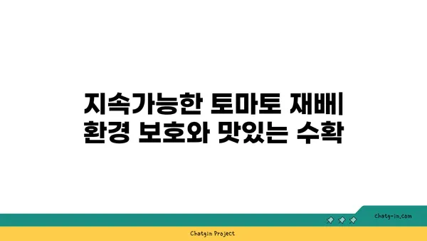 지속가능한 토마토 재배| 환경 보호와 맛있는 수확 | 토마토 농업, 친환경 농법, 탄소 발자국, 환경적 이점