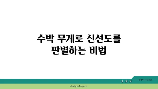 맛있는 수박 고르는 꿀팁 | 수박 고르는 방법, 달콤한 수박 찾는 비결