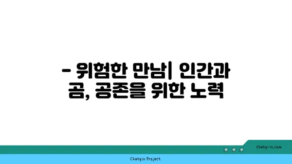 큰곰의 생태와 행동| 지구상 가장 큰 육상 포식자 | 북극곰, 곰, 야생동물, 생존