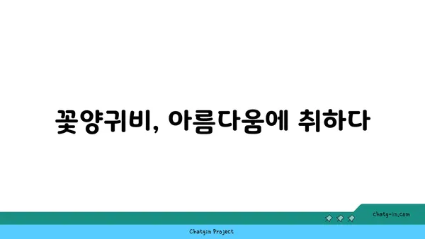 꽃양귀비의 매력에 빠지다| 아름다움과 의미, 재배 가이드 | 꽃양귀비, 꽃말, 재배 방법, 종류, 사진