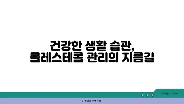 콜레스테롤 낮추는 3가지 실용적인 팁 | 건강, 식단, 생활 습관