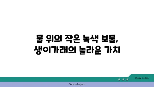 생이가래, 잡초가 아닌 소중한 자원| 생태계와 식용 가치 알아보기 | 생이가래 효능, 생이가래 활용법, 생태계