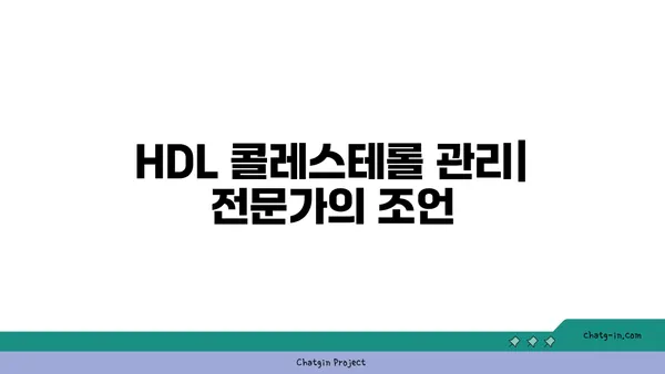 고밀도 지단백질(HDL)| 좋은 콜레스테롤, 건강하게 높이는 방법 | 콜레스테롤 관리, 심혈관 건강, 건강 정보