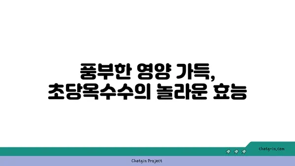 초당옥수수| 건강과 영양의 보물 창고 | 달콤한 맛과 풍부한 영양, 효능과 활용법