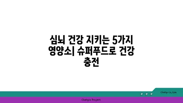 심장 건강과 뇌 기능 향상을 위한 5가지 슈퍼푸드 | 심뇌 건강, 심장병 예방, 인지 능력 향상, 건강 식단