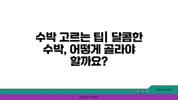 수박의 맛있는 비밀| 달콤함을 맛보는 5가지 방법 | 수박 고르는 팁, 수박 맛있게 먹는 법, 수박 효능