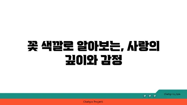 꽃의 색깔이 품은 의미| 꽃의 상징 색과 그 의미 | 꽃말, 꽃 색깔, 꽃 선물