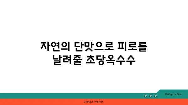 초당옥수수| 에너지 충전을 위한 달콤한 선택 | 건강, 영양, 간식, 자연 에너지 부스터