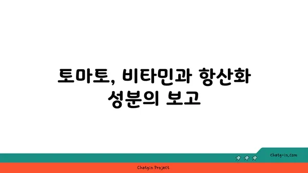 토마토의 놀라운 영양학| 건강한 하루를 위한 필수 식품 | 건강, 비타민, 항산화 효능, 효능