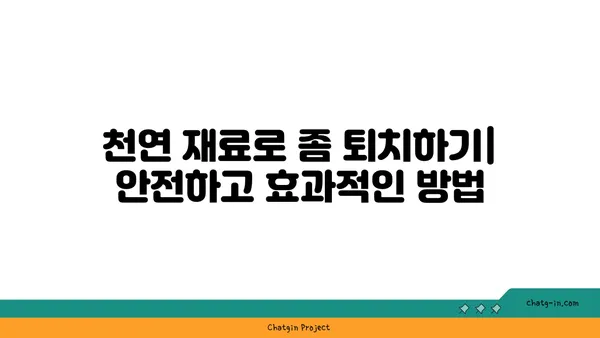 좀의 공격으로부터 집을 지키는 자연 친화적인 7가지 방법 | 천연 퇴치법, 좀 퇴치, 친환경 솔루션