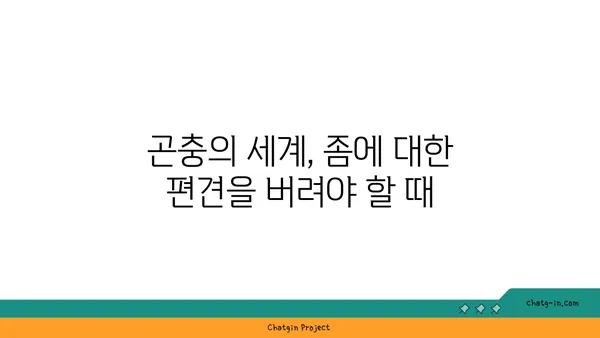 깨끗함의 오해| 좀에 대한 진실을 파헤쳐 보세요 | 곤충, 위생, 오해, 깨끗