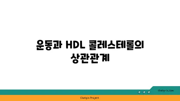 고밀도 지단백질(HDL)| 좋은 콜레스테롤, 건강하게 높이는 방법 | 콜레스테롤 관리, 심혈관 건강, 건강 정보