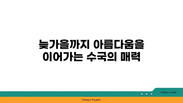 가을 정원을 물들이는 화려한 아름다움, 수국 이야기 | 가을꽃, 수국, 정원, 가을