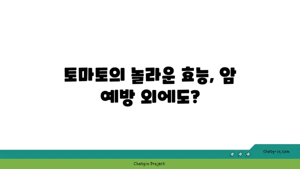 토마토의 놀라운 암 예방 효과| 과학적 근거와 섭취 방법 | 건강, 항암 식품, 토마토 효능