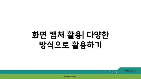 캡처 도구 비교| 나에게 딱 맞는 캡처 도구 찾기 | 캡처 프로그램, 스크린샷, 화면 캡처, 캡처 기능