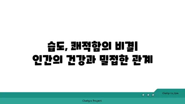 편안함의 온실| 최적의 상대 습도가 인간의 안녕에 미치는 영향 | 쾌적한 실내 환경, 건강, 습도 조절