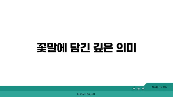 꽃양귀비의 매력에 빠지다| 아름다움과 의미, 재배 가이드 | 꽃양귀비, 꽃말, 재배 방법, 종류, 사진