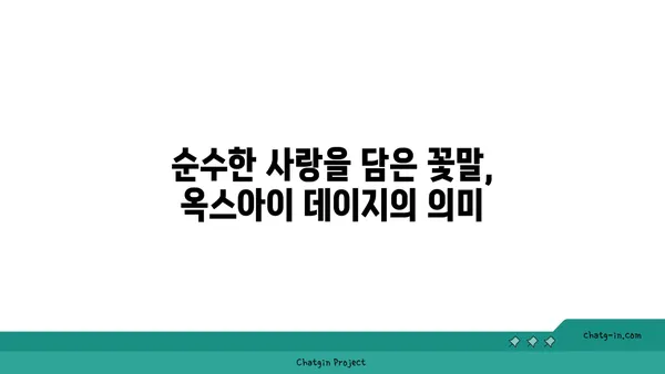 옥스아이 데이지| 야생화 애호가를 사로잡는 매력 | 야생화, 꽃말, 재배 정보, 옥스아이 데이지