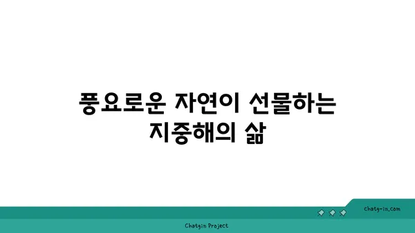 지중해성 기후의 매력| 햇살 가득한 삶과 풍요로운 자연 | 지중해, 기후, 여행, 식물, 농업